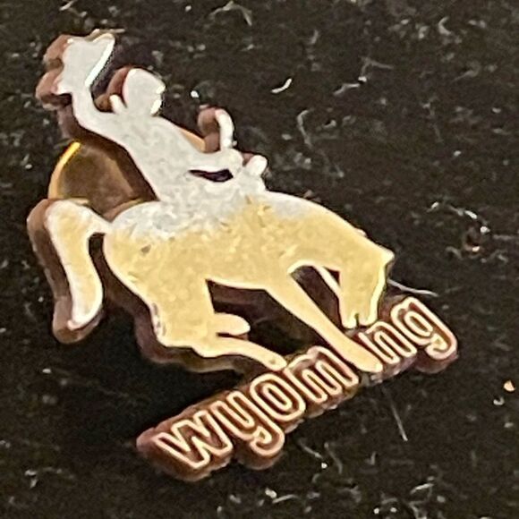 1” Fanmats NCAA Wyoming Cowboys Team logo saddle bronc rider lapel/hat pin - Picture 2 of 11